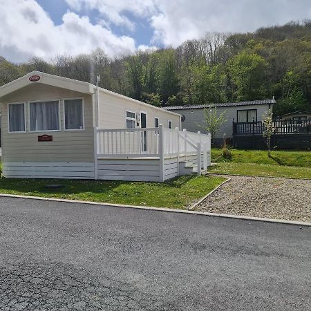 The Tiddler - Plot 101, Woodlands Lodge Retreat, New Quay, West Wales Llanina ภายนอก รูปภาพ